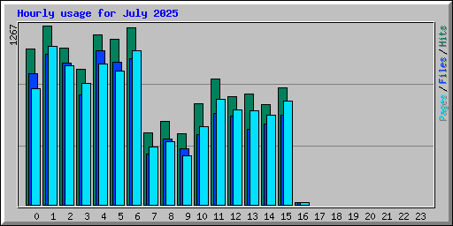 Hourly usage for July 2025