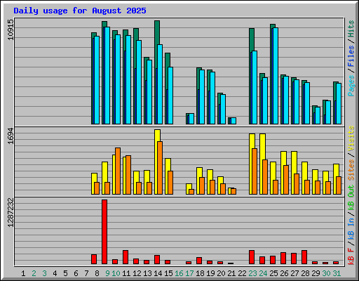 Daily usage for August 2025