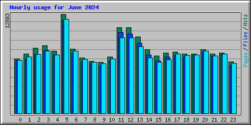 Hourly usage for June 2024