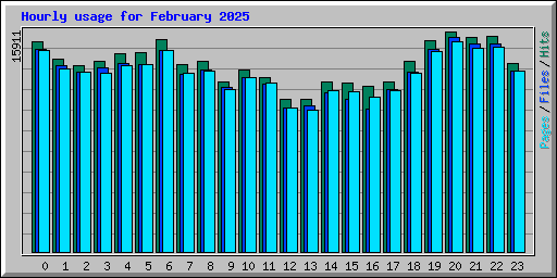 Hourly usage for February 2025