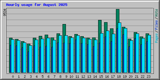 Hourly usage for August 2025