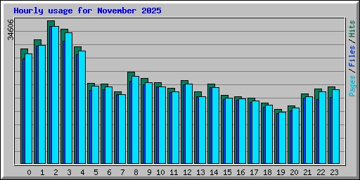Hourly usage for November 2025