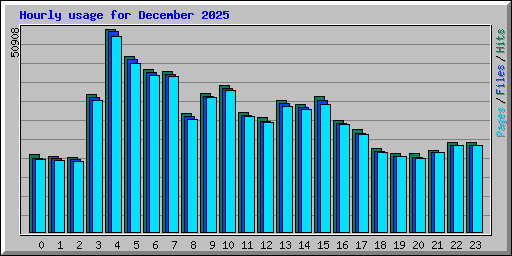 Hourly usage for December 2025