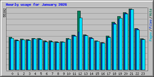 Hourly usage for January 2026
