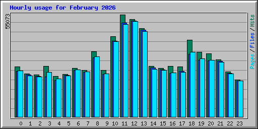 Hourly usage for February 2026