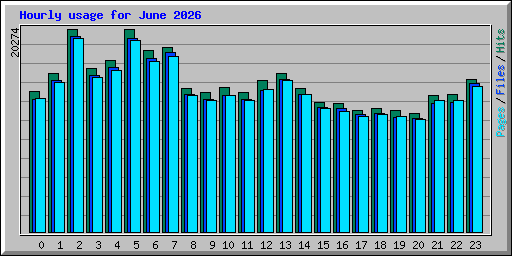 Hourly usage for June 2026