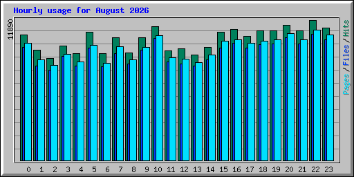 Hourly usage for August 2026